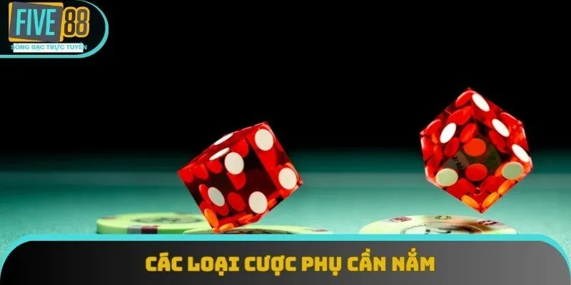 Các loại cược phụ cần nắm khi chơi tài xỉu online Các loại cược phụ cần nắm khi chơi tài xỉu online