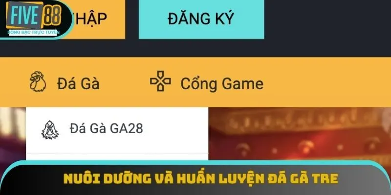 Nuôi dưỡng và huấn luyện đá gà tre Nuôi dưỡng và huấn luyện đá gà tre