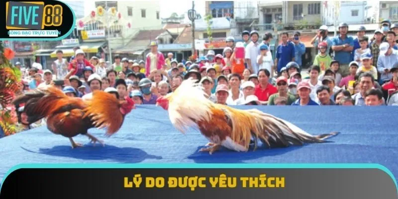 Lý do được yêu thích Lý do được yêu thích