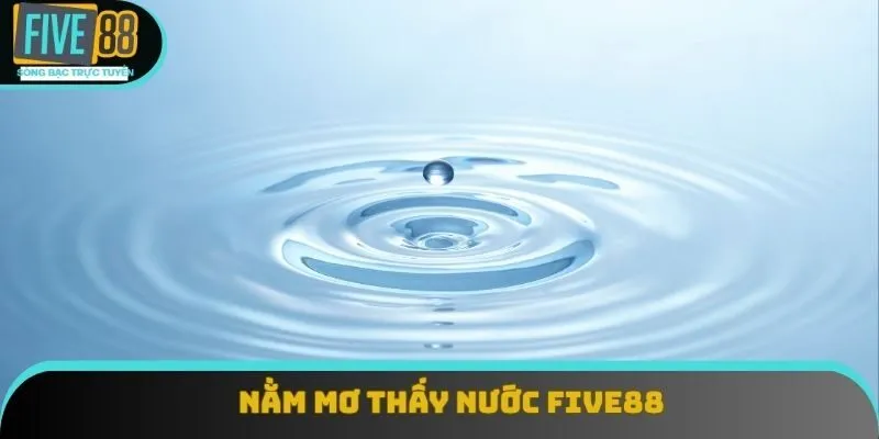 Nằm Mơ Thấy Nước – Vận Mệnh Và Cơ Hội Đổi Đời Tại Five88