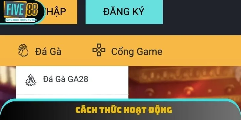 Cách thức hoạt động Cách thức hoạt động