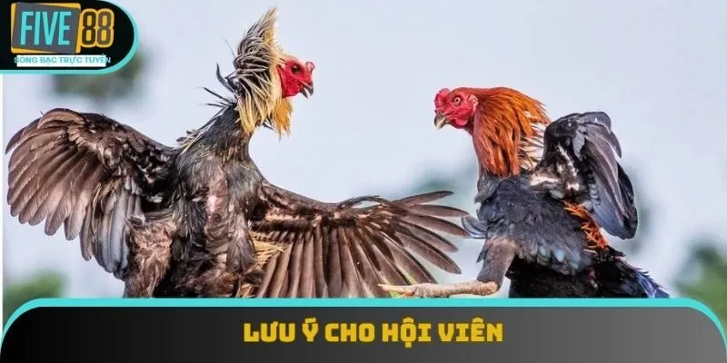 Lưu ý cho hội viên Lưu ý cho hội viên