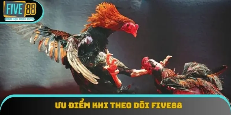 Ưu điểm khi theo dõi Five88 Ưu điểm khi theo dõi Five88